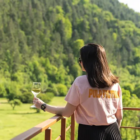 Kleptuzaparts Apartman Velingrad